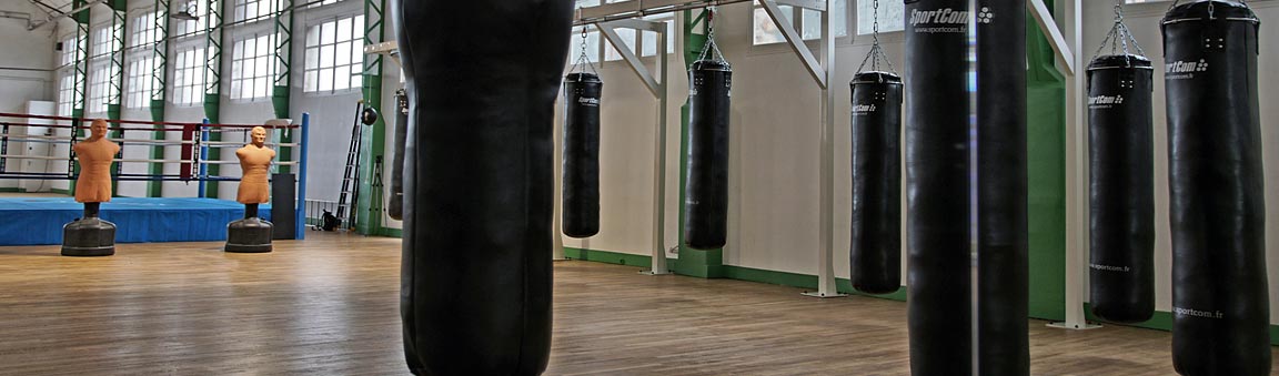 Fédération Française de Kick-Boxing, Muay Thaï et Disciplines Associées